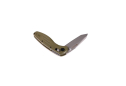 Ніж складаний Ganzo G701 green G10
