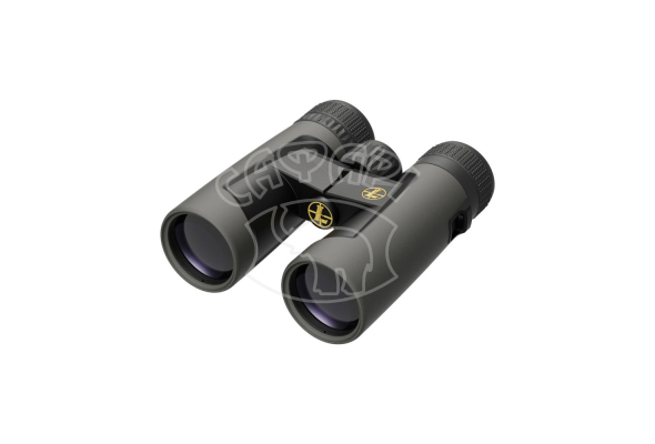 Бинокль Leupold BX-2 Alpine 10x42 Roof Shadow Gray