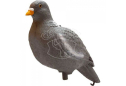 Подсадной голубь Birdland