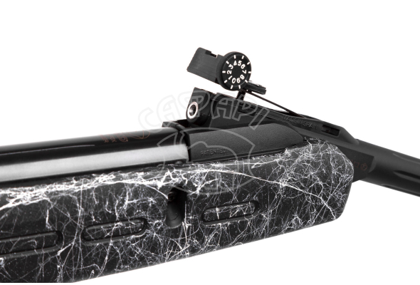 Гвинтівка пневматична Gamo Delta Fox GT Spyder