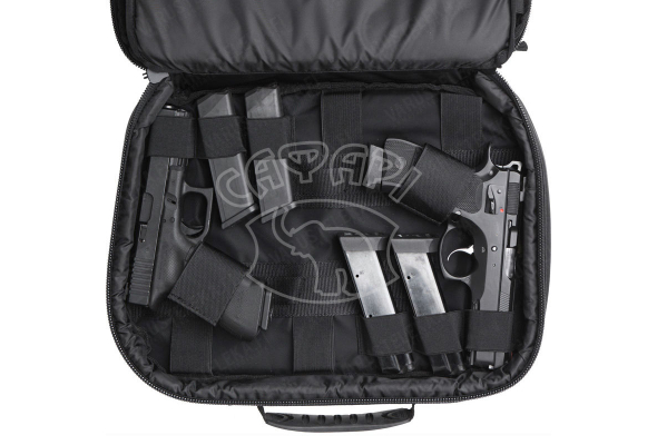 Сумка для переноски двух пистолетов Tasmanian Tiger Pistol Bag 2 Black